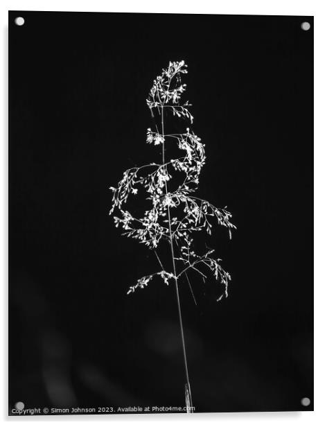 sunlit grass Acrylic by Simon Johnson