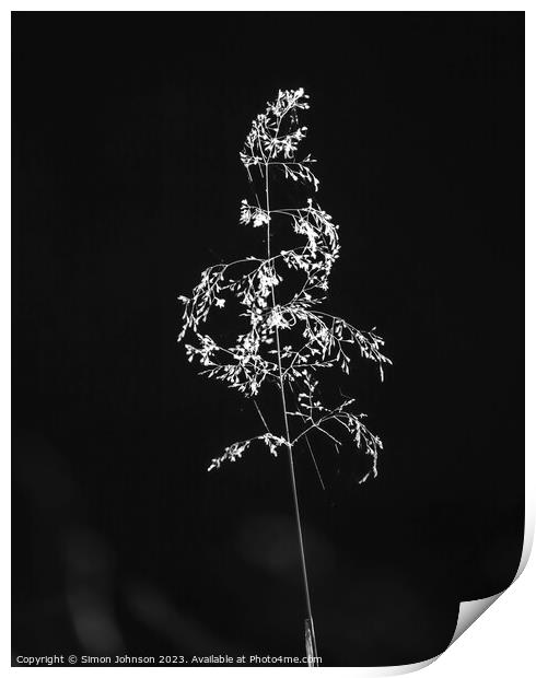 sunlit grass Print by Simon Johnson