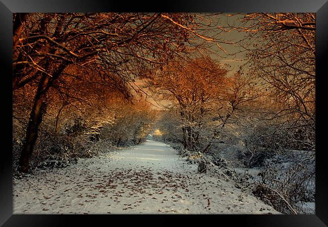 Winter Colour Framed Print by pauline morris