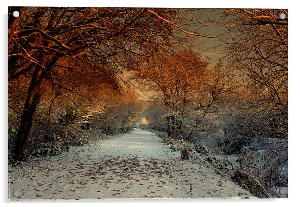 Winter Colour Acrylic by pauline morris