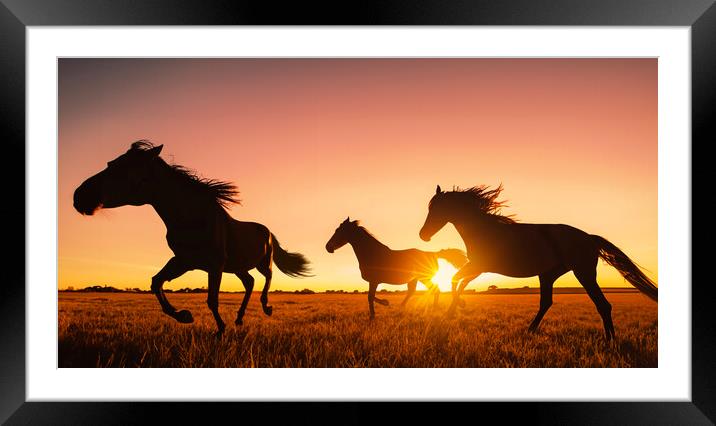 silhouette of wild horses running Framed Mounted Print by Guido Parmiggiani