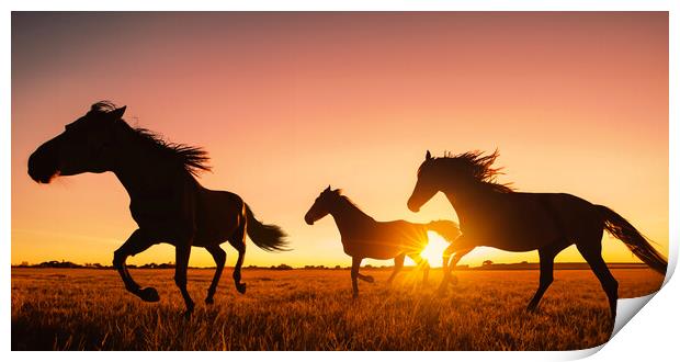 silhouette of wild horses running Print by Guido Parmiggiani