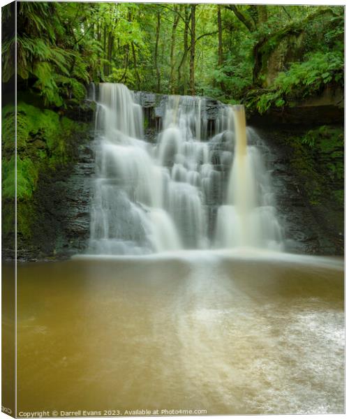 Stock Falls Canvas Print by Darrell Evans