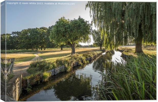 Bushy Park stream and August morning light Canvas Print by Kevin White