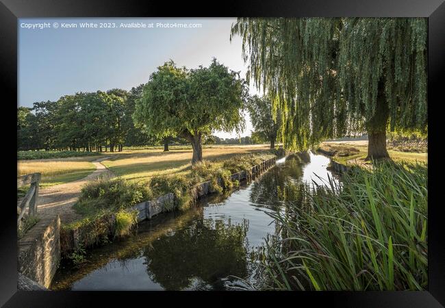 Bushy Park stream and August morning light Framed Print by Kevin White