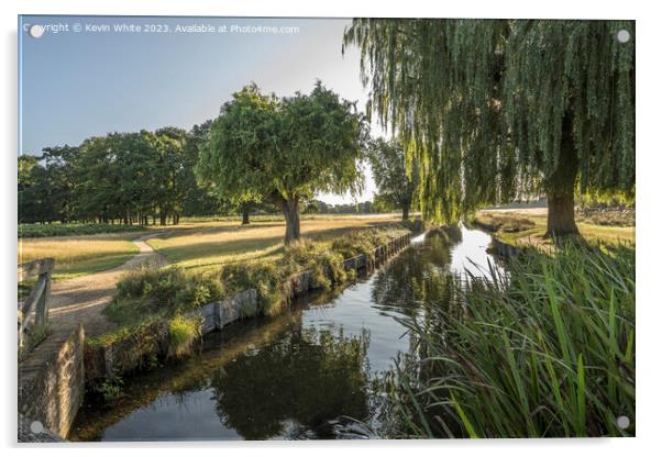 Bushy Park stream and August morning light Acrylic by Kevin White