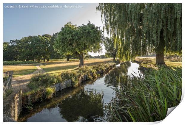 Bushy Park stream and August morning light Print by Kevin White