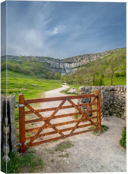 This way to Malham Cove Canvas Print by Paul Grubb