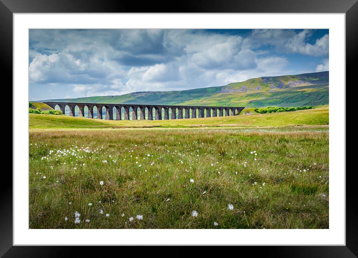 Whernside and Flowers Framed Mounted Print by Paul Grubb