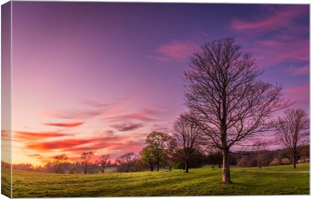 Purple Sunset over Wharfedale Canvas Print by Paul Grubb
