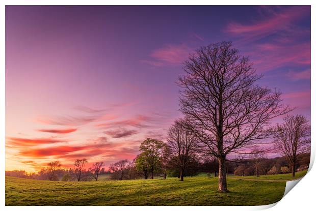 Purple Sunset over Wharfedale Print by Paul Grubb