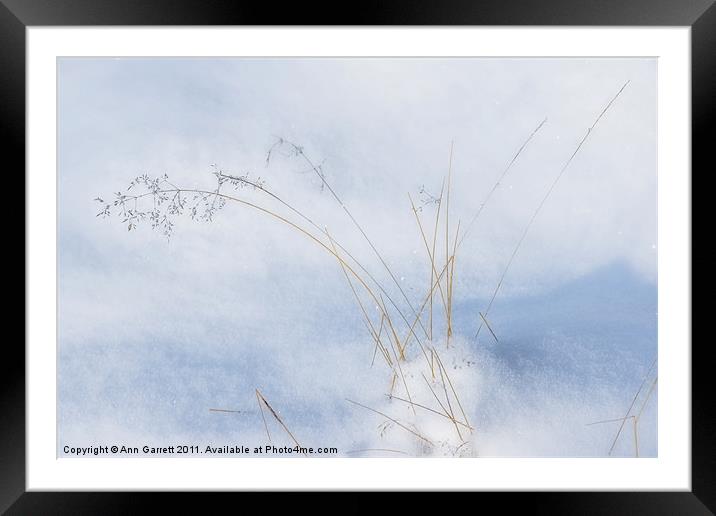 Grass in the Snow Framed Mounted Print by Ann Garrett