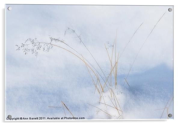 Grass in the Snow Acrylic by Ann Garrett