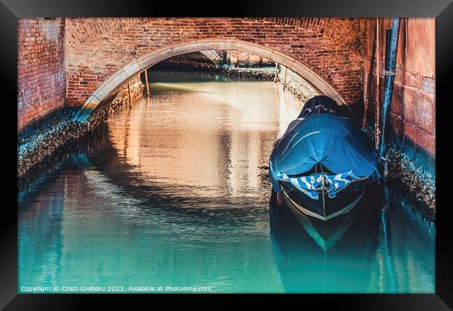 Beautiful Venice. Framed Print by Cristi Croitoru