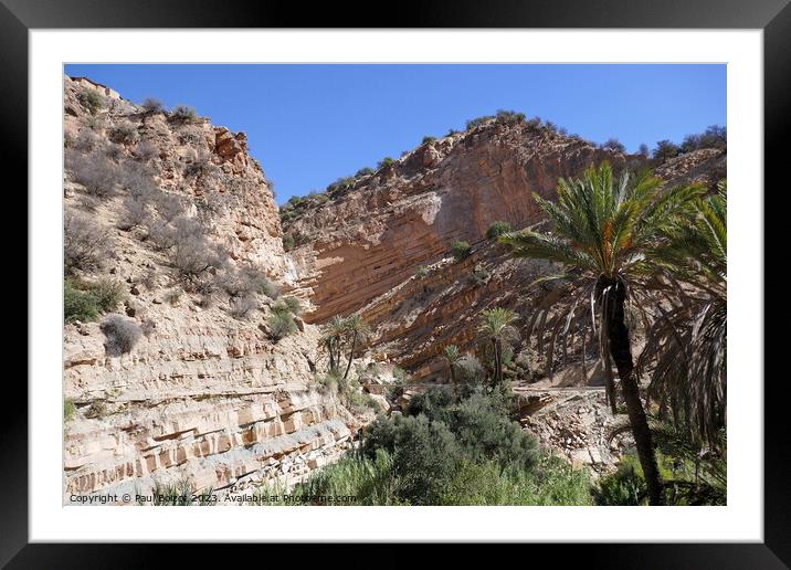 Rock strata and palm tree 2, High Atlas Framed Mounted Print by Paul Boizot