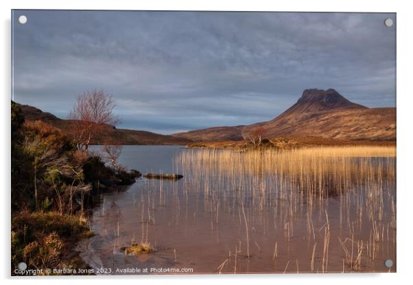 Stac Pollaidh and Loch Lurgainn,  Scotland. Acrylic by Barbara Jones