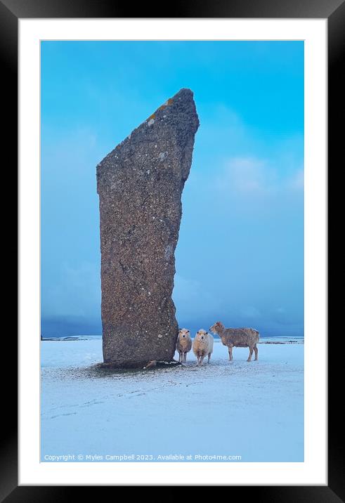 Sheep of the standing stones Framed Mounted Print by Myles Campbell