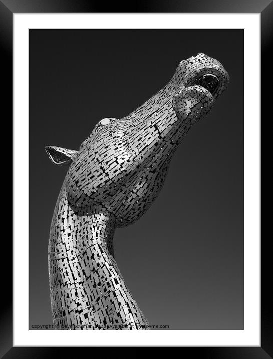 Kelpie Framed Mounted Print by Dave Bowman