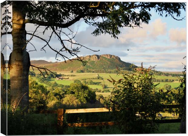 The Roaches in Staffordshire Moorlands. Canvas Print by Andrew Heaps