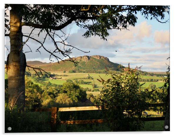 The Roaches in Staffordshire Moorlands. Acrylic by Andrew Heaps