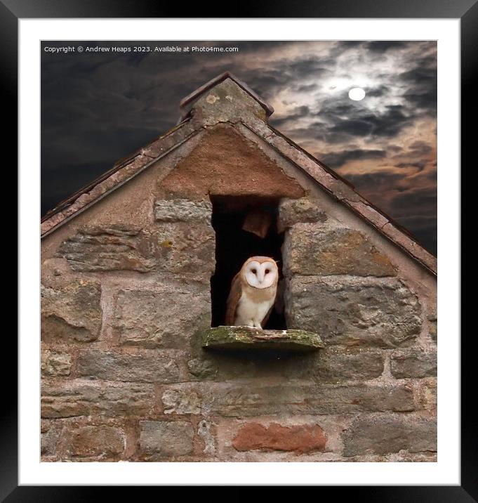 Solitary Barn Owl Illuminated by Moonlight Framed Mounted Print by Andrew Heaps