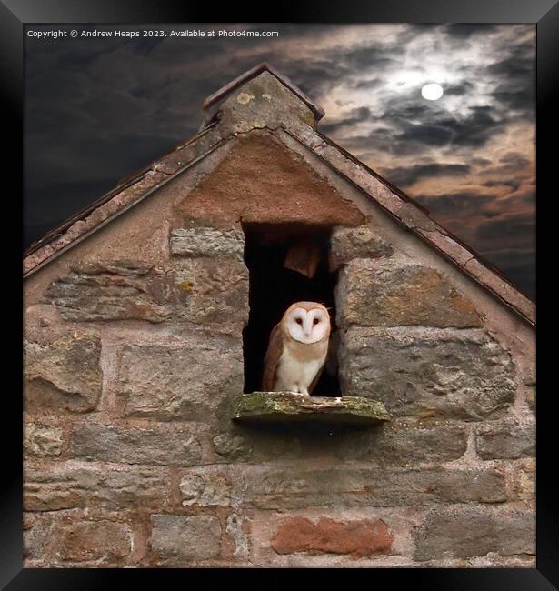 Solitary Barn Owl Illuminated by Moonlight Framed Print by Andrew Heaps