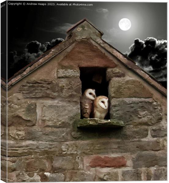 Moonlit Solitude: Barn Owl's Night Watch Canvas Print by Andrew Heaps
