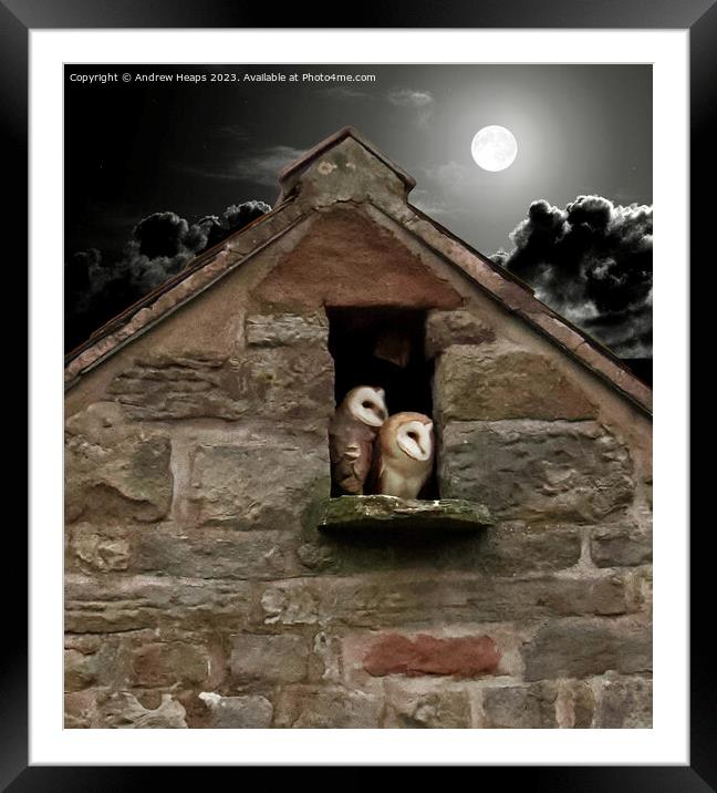Moonlit Solitude: Barn Owl's Night Watch Framed Mounted Print by Andrew Heaps