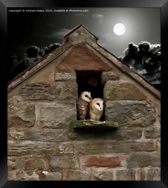 Moonlit Solitude: Barn Owl's Night Watch Framed Print by Andrew Heaps
