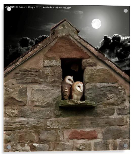 Moonlit Solitude: Barn Owl's Night Watch Acrylic by Andrew Heaps