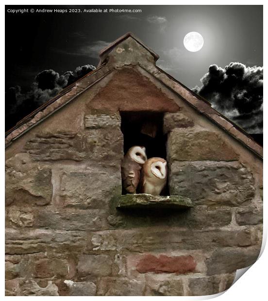 Moonlit Solitude: Barn Owl's Night Watch Print by Andrew Heaps