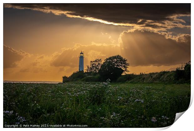 Hale Lighthouse Print by Pete Mainey