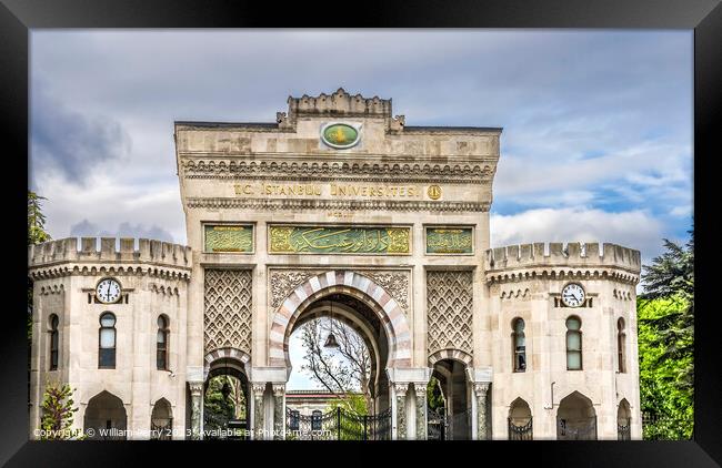 Istanbul University Entrance Gate Istanbul Turkey Framed Print by William Perry
