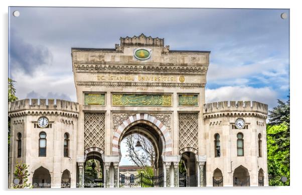 Istanbul University Entrance Gate Istanbul Turkey Acrylic by William Perry