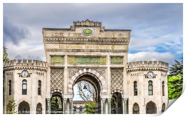 Istanbul University Entrance Gate Istanbul Turkey Print by William Perry