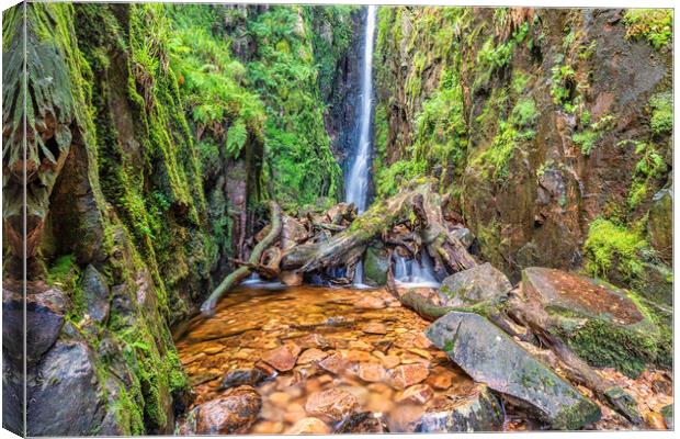 Enchanting Forest Waterfall Symphony Canvas Print by James Marsden