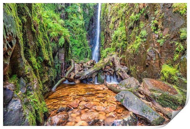 Enchanting Forest Waterfall Symphony Print by James Marsden