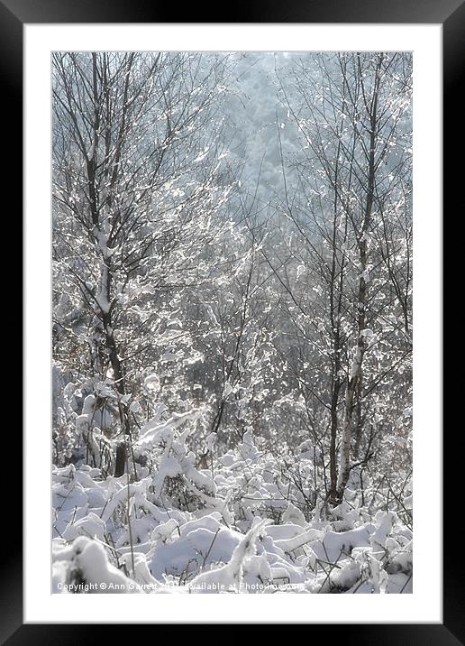Winter Sparkles Framed Mounted Print by Ann Garrett