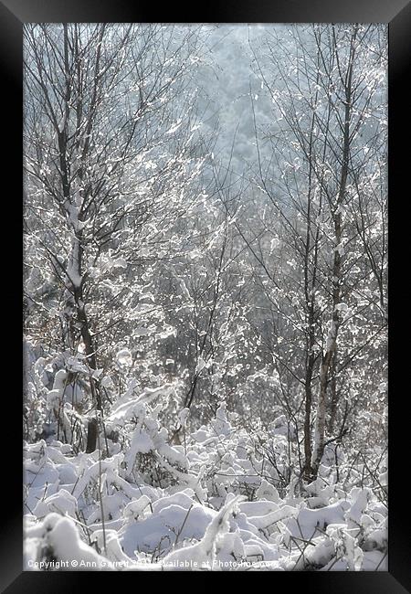 Winter Sparkles Framed Print by Ann Garrett