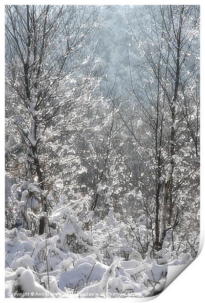 Winter Sparkles Print by Ann Garrett