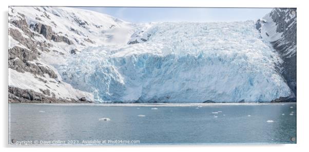 Panorama of Beloit Tidewater Glacier in Blackstone Bay, Prince William Sound, Alaska, USA Acrylic by Dave Collins