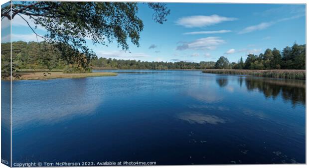 Serene Lakeside Enveloped by Verdant Canopy Canvas Print by Tom McPherson
