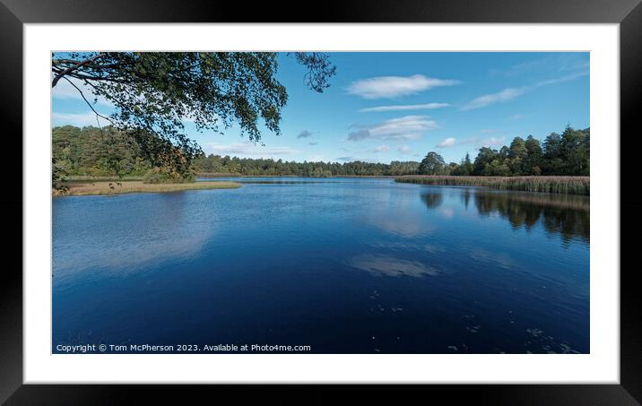 Serene Lakeside Enveloped by Verdant Canopy Framed Mounted Print by Tom McPherson