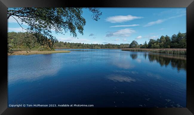 Serene Lakeside Enveloped by Verdant Canopy Framed Print by Tom McPherson
