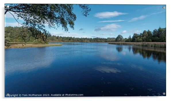 Serene Lakeside Enveloped by Verdant Canopy Acrylic by Tom McPherson