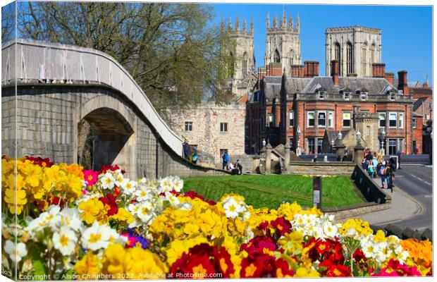 York Minster Cathedral  Canvas Print by Alison Chambers