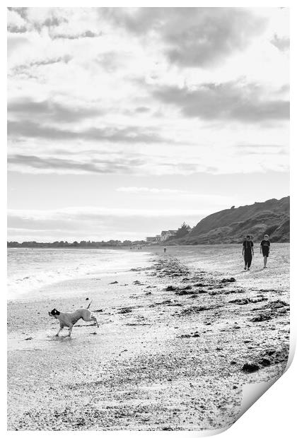 Walking on a beach  Print by Michelle Quinton