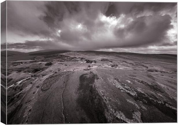 Windswept Penwyllt in monochrome Canvas Print by Leighton Collins
