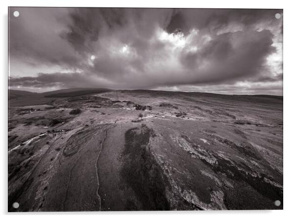 Windswept Penwyllt in monochrome Acrylic by Leighton Collins