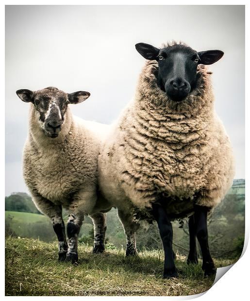 Scary sheep Print by Dave Withington